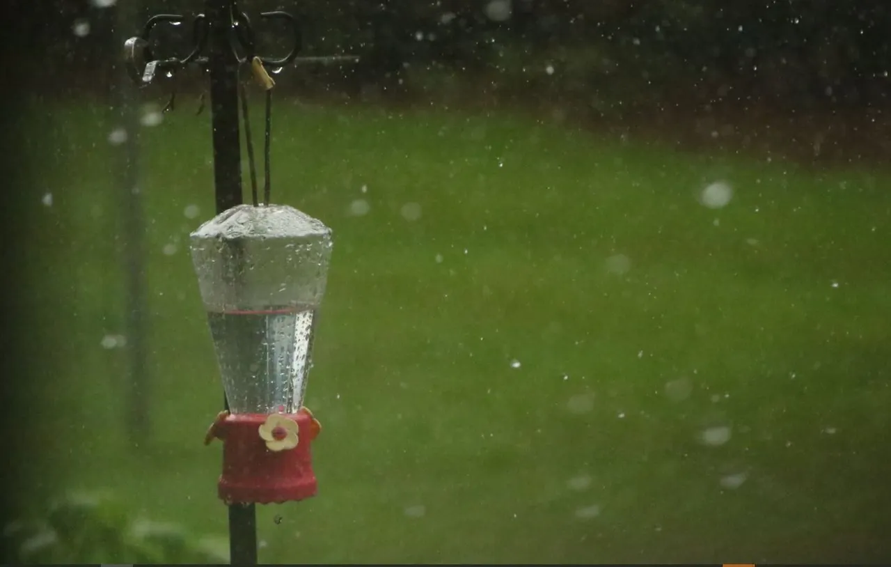 비오는풍경 4.JPG