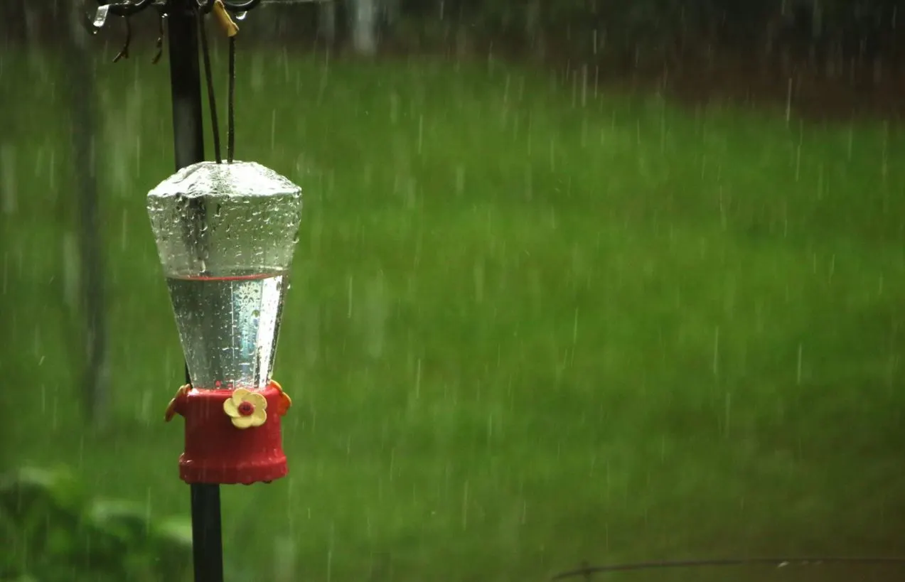 비오는풍경 3.JPG