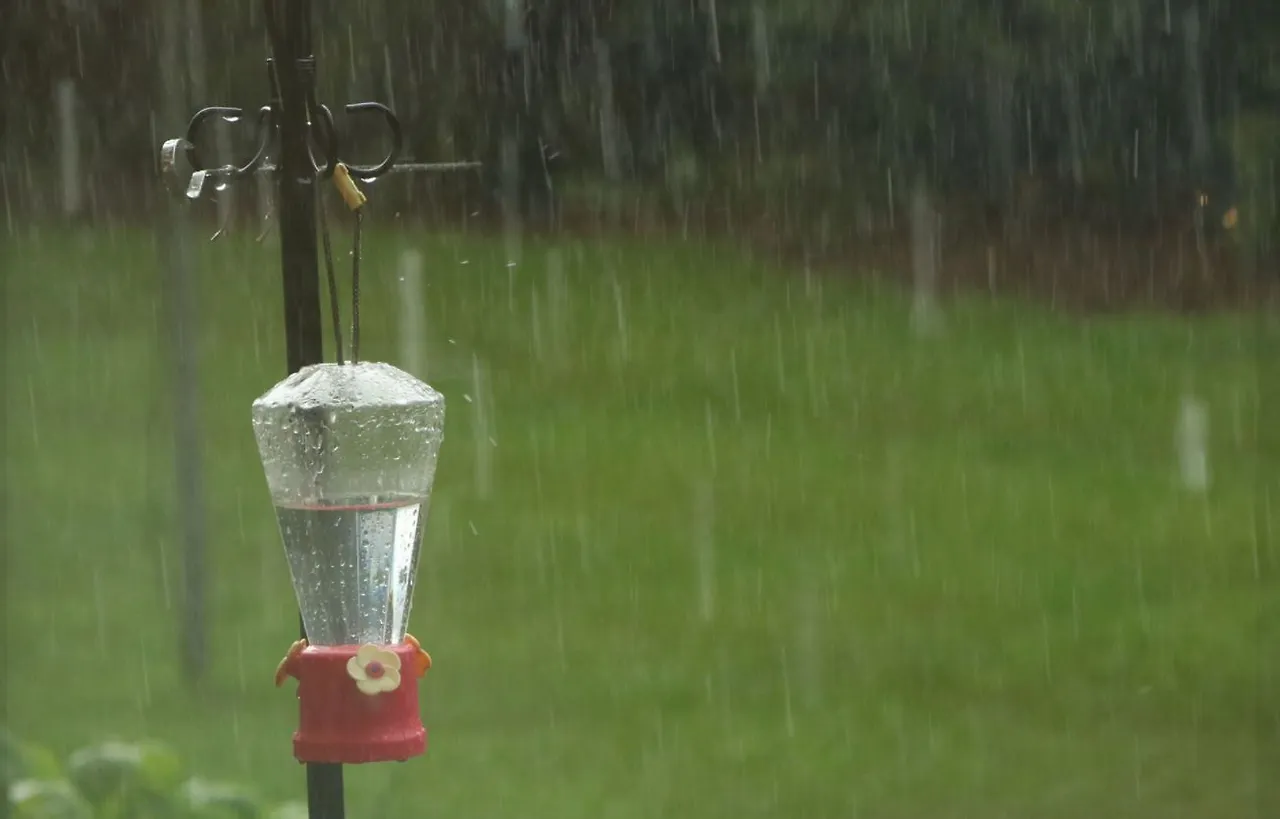 비오는풍경 2.JPG