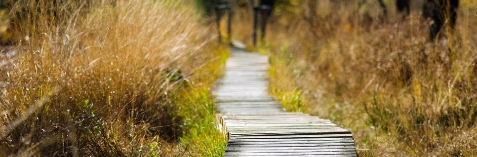 SE-2941d13a-589c-42c1-a5a2-59b327c8c2d4.jpg?type=w966