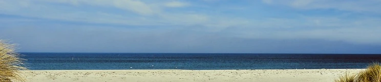 SE-e2847b19-d486-48d9-ae51-a797f32d2c19.jpg?type=w966