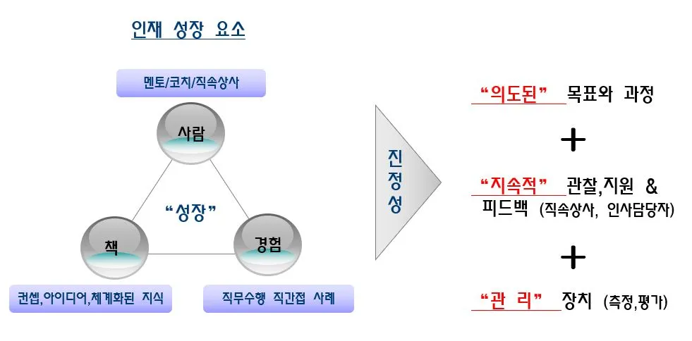 인재성장요소.JPG
