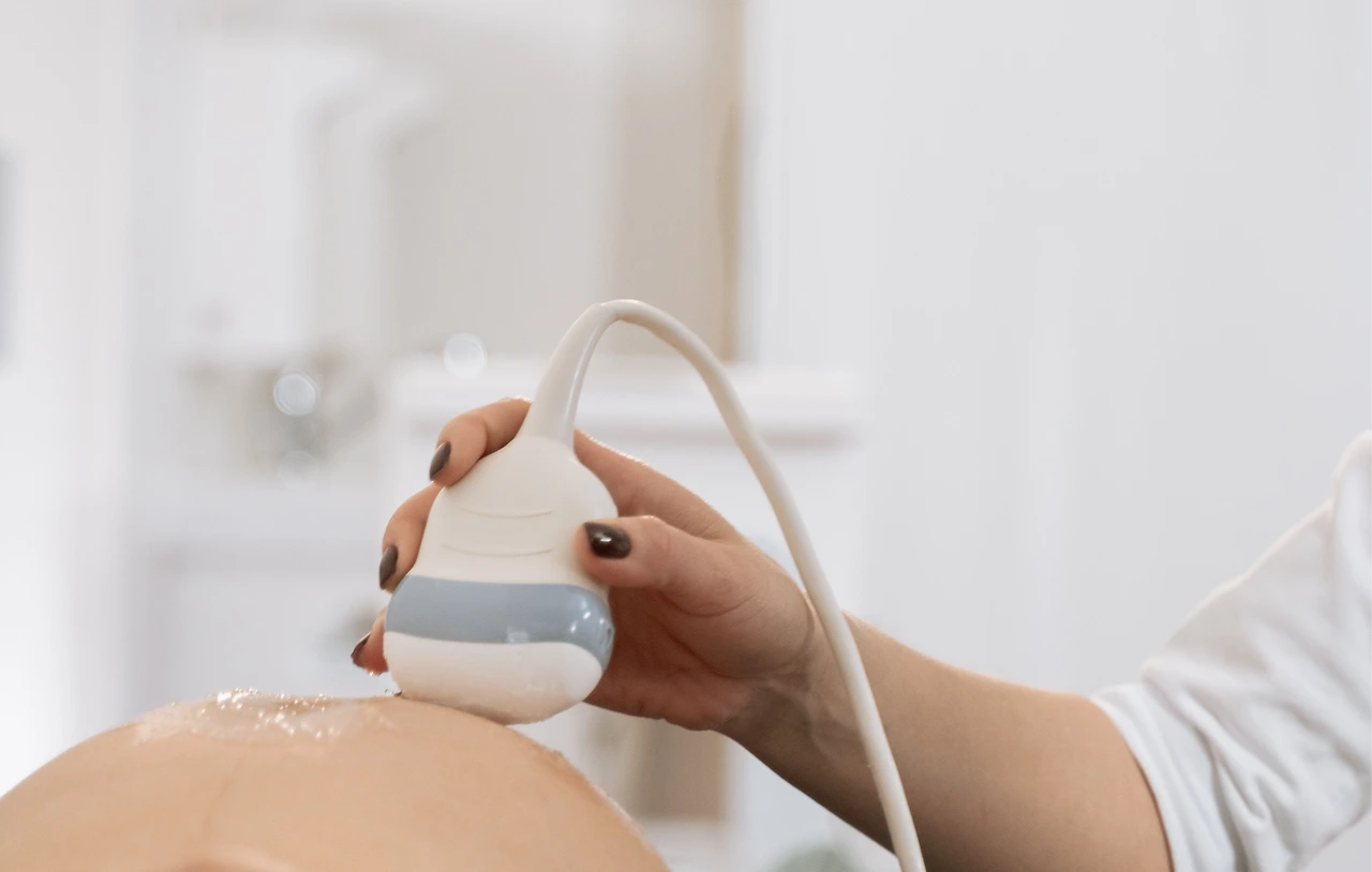 0tepN5dZLKa8fpLBBbYtIKmdZ7bO-_fljazRBUv0A-v1sfaCq0BMUEBPfRJBP_UmusU_L8V9KdVxhD96c4g=s0-d-e1-ft