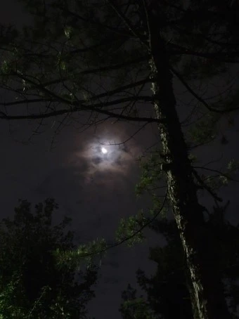 ?src=http%3A%2F%2Fblogfiles.naver.net%2FMjAyMzAxMTJfMTQ0%2FMDAxNjczNDU5ODQ2NTEz.veGWBkcvJnSKJJisGbTkFyKIz8UT-HMkiHVSckdWBncg.sVUZ0USF_15p98CuAbz2-N87ccAhWeMZacRWmdZTRNkg.JPEG.kimjj0467%2F20221014%25A3%25DF235317.jpg&type=a340