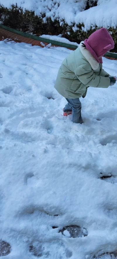 20241127_165104.jpg?type=w1