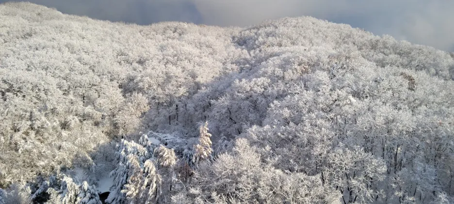 20241127_161239.jpg?type=w1