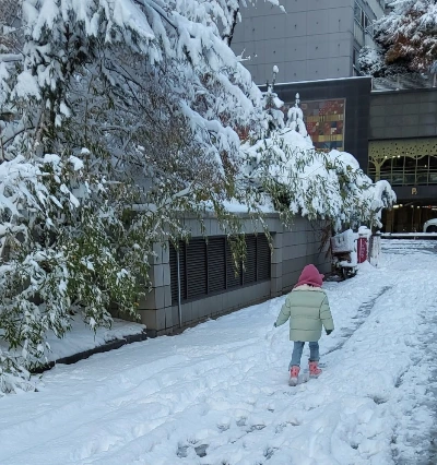 SE-3e752428-b5d3-451a-a428-89b914d5d8ae.jpg?type=w1