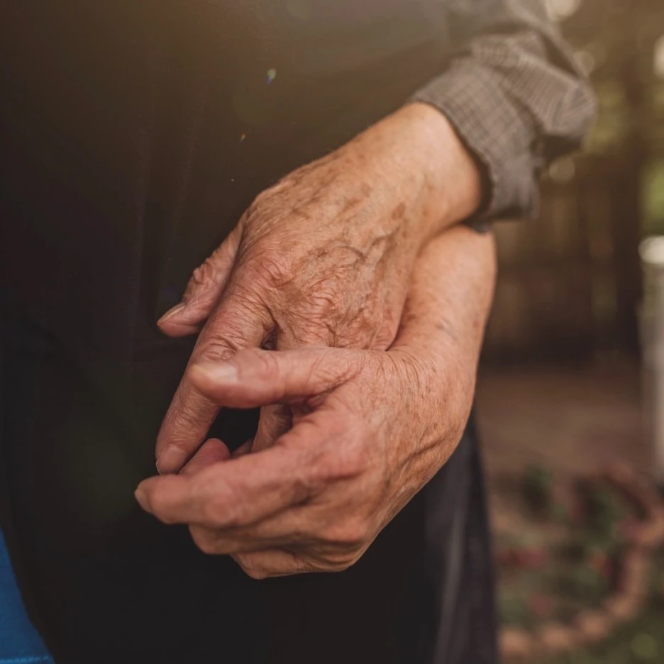 SE-6f894080-8b43-4f56-828d-96896236a92e.jpg?type=w1