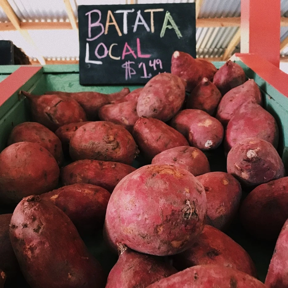 SE-56be41c8-aaa5-47b9-ab10-425ae590c974.jpg?type=w1