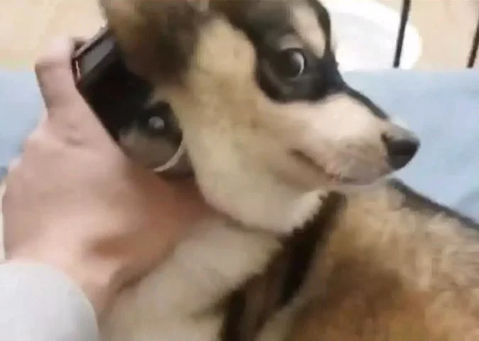 image_5238533621600364037272.jpg?type=w1200