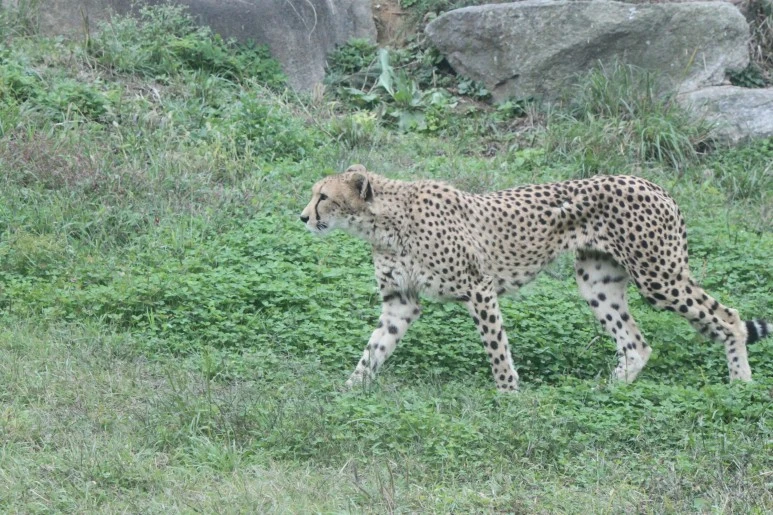 IMG_5291.JPG?type=w773