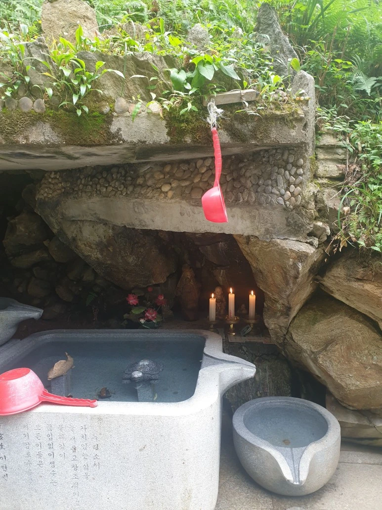 20221002_112537.jpg?type=w773