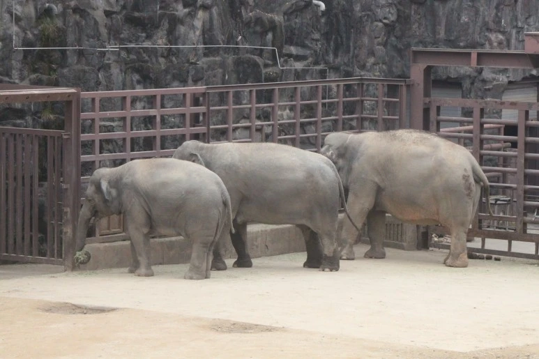 IMG_5203.JPG?type=w773