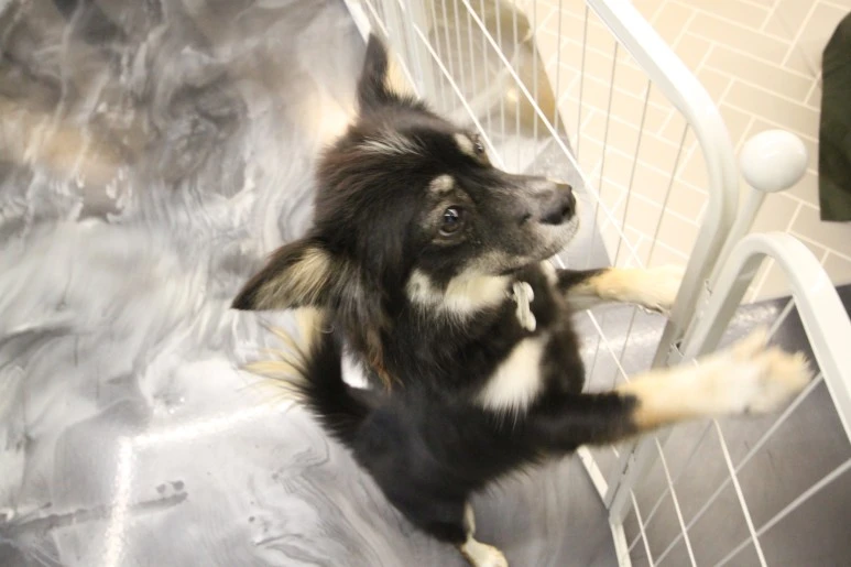 IMG_5604.JPG?type=w773