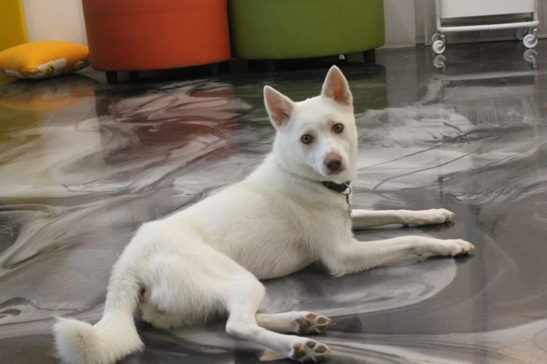 IMG_5452.JPG?type=w773