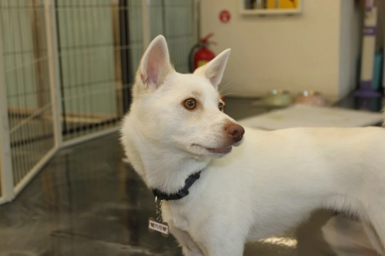 IMG_5440.JPG?type=w773