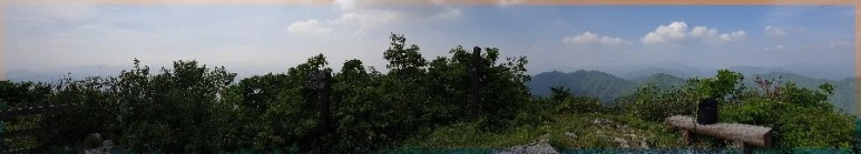 1590619043315.jpg?type=w773