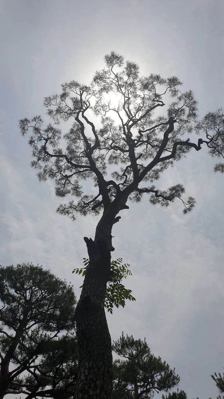 20210614_125209.jpg?type=w773