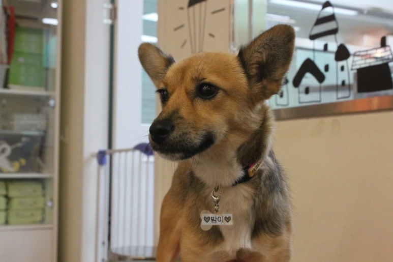 IMG_5457.JPG?type=w773