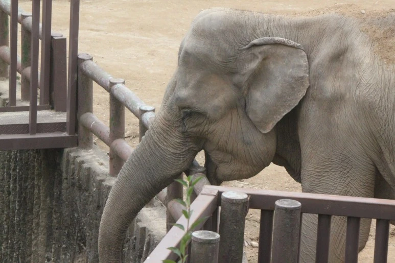 IMG_5209.JPG?type=w773