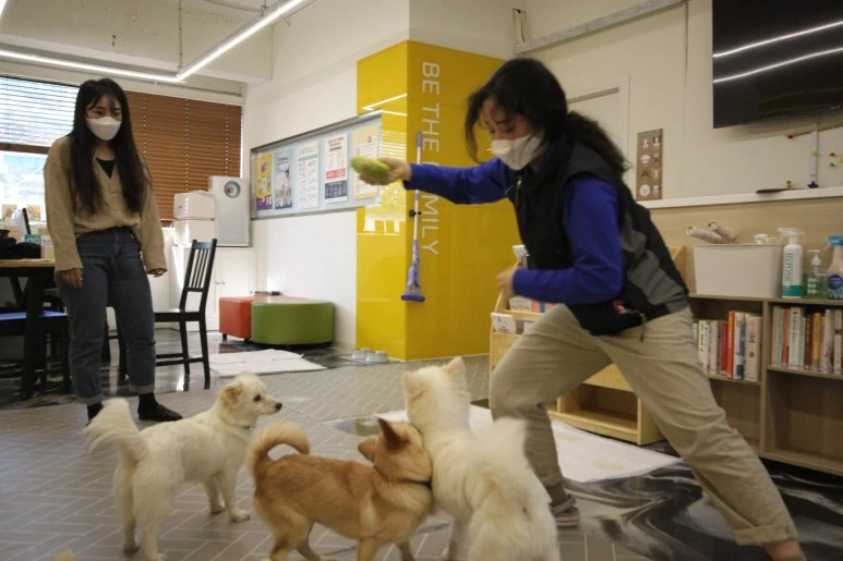 IMG_5558.JPG?type=w773