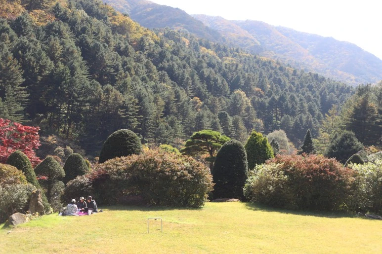 IMG_6629.JPG?type=w773