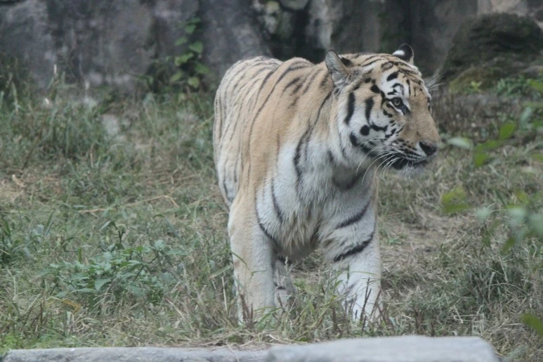 IMG_5144.JPG?type=w773