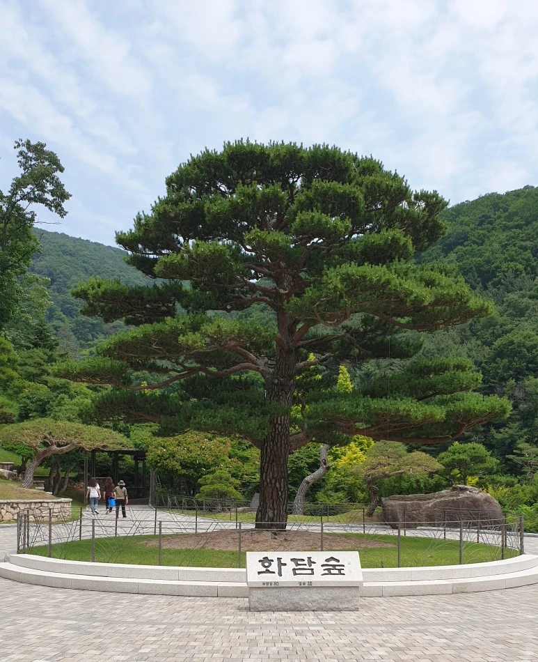 20210614_120654.jpg?type=w773