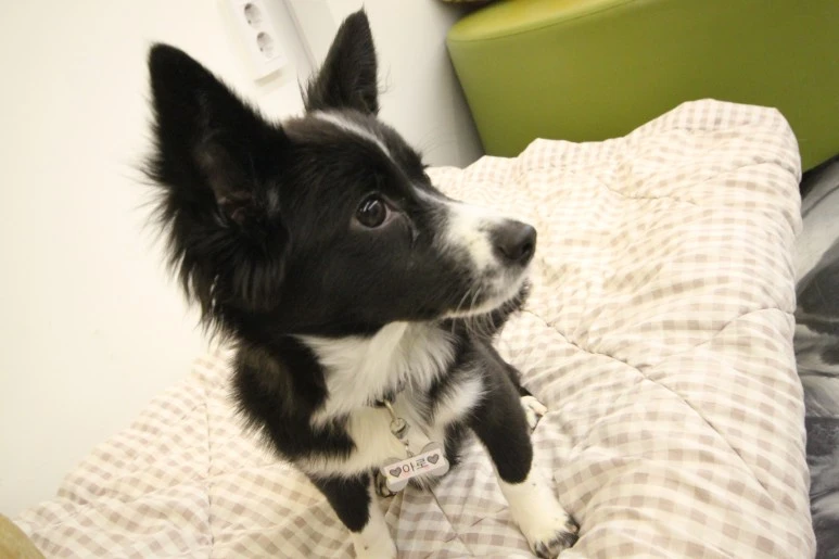 IMG_5521.JPG?type=w773