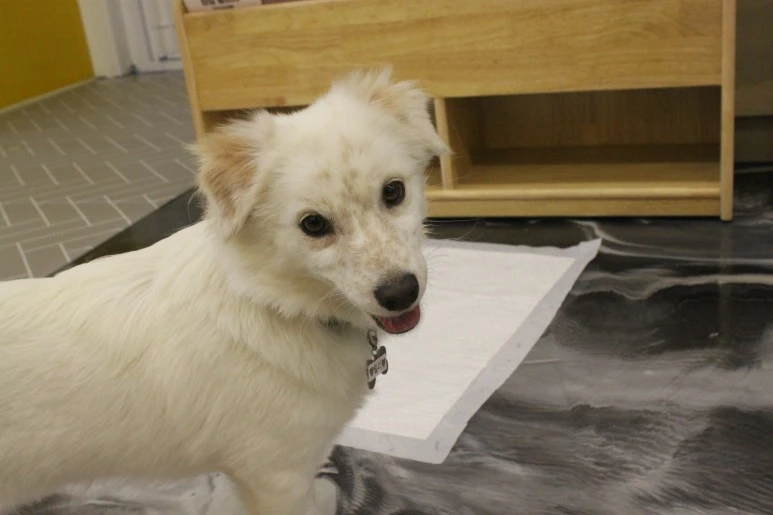 IMG_5408.JPG?type=w773