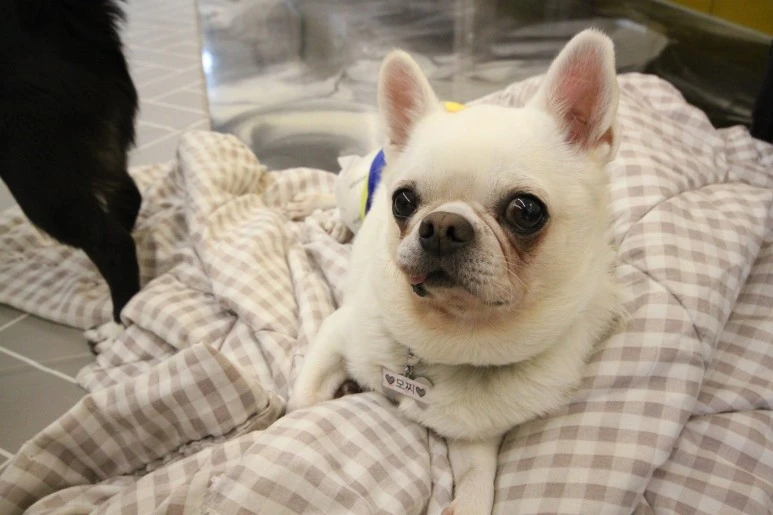 IMG_5471.JPG?type=w773