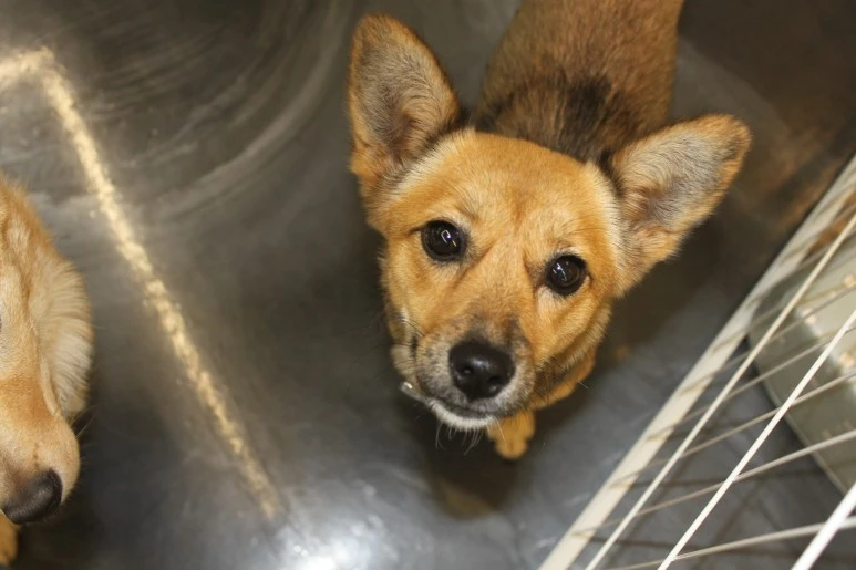 IMG_5438.JPG?type=w773