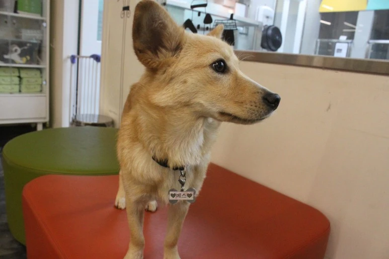 IMG_5459.JPG?type=w773