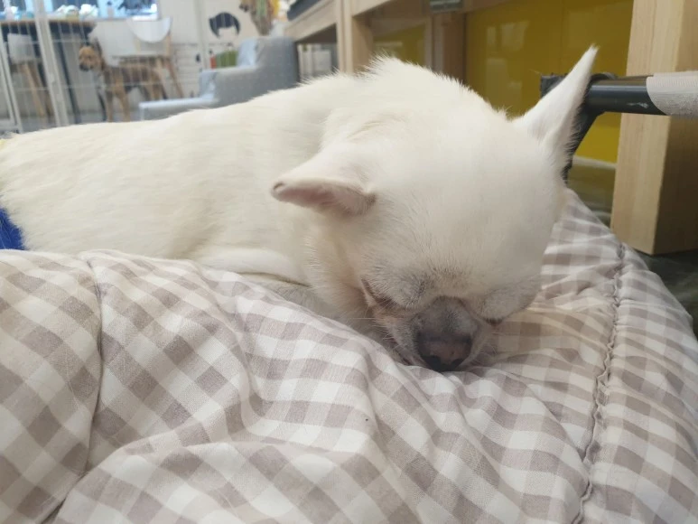 20221024_140101.jpg?type=w773