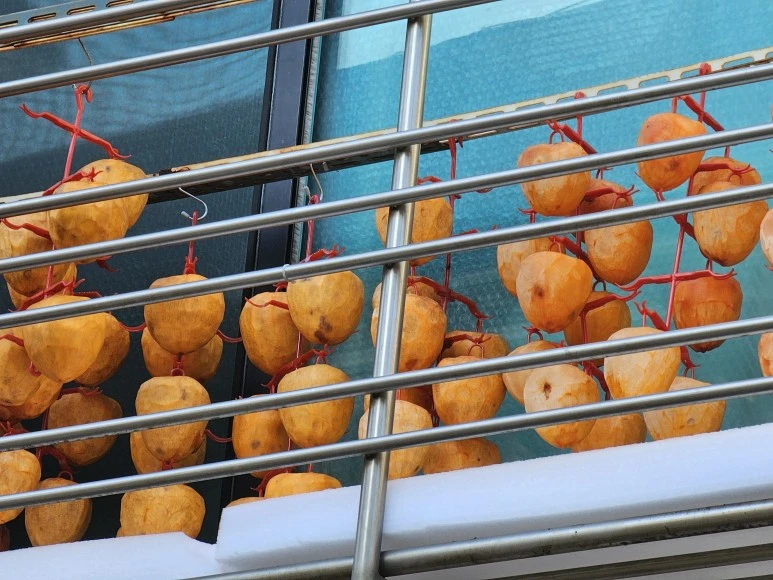 20231120_094959.jpg?type=w773