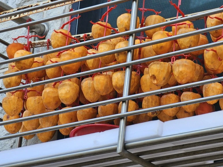 20231120_094956.jpg?type=w773