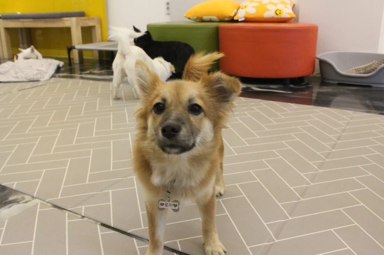 IMG_5429.JPG?type=w773