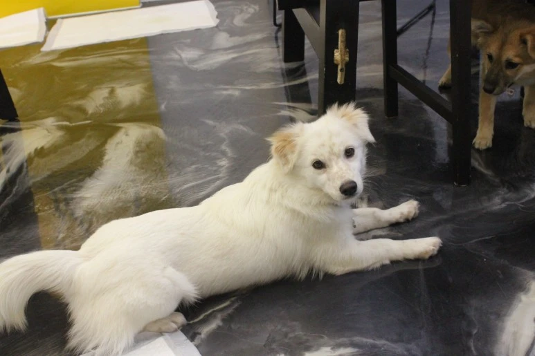 IMG_5419.JPG?type=w773