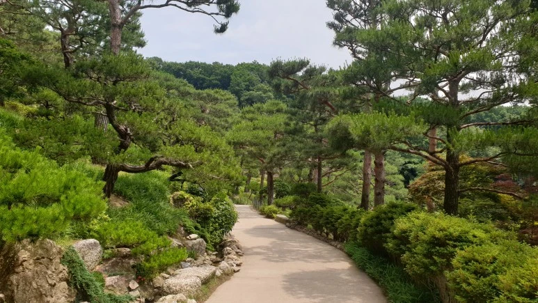 20210614_125641.jpg?type=w773