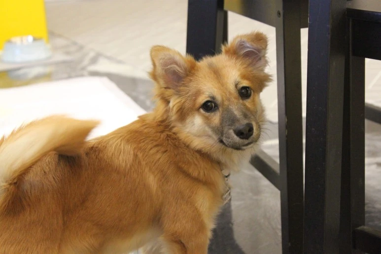 IMG_5417.JPG?type=w773