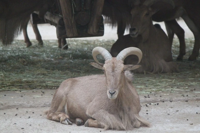 IMG_5267.JPG?type=w773