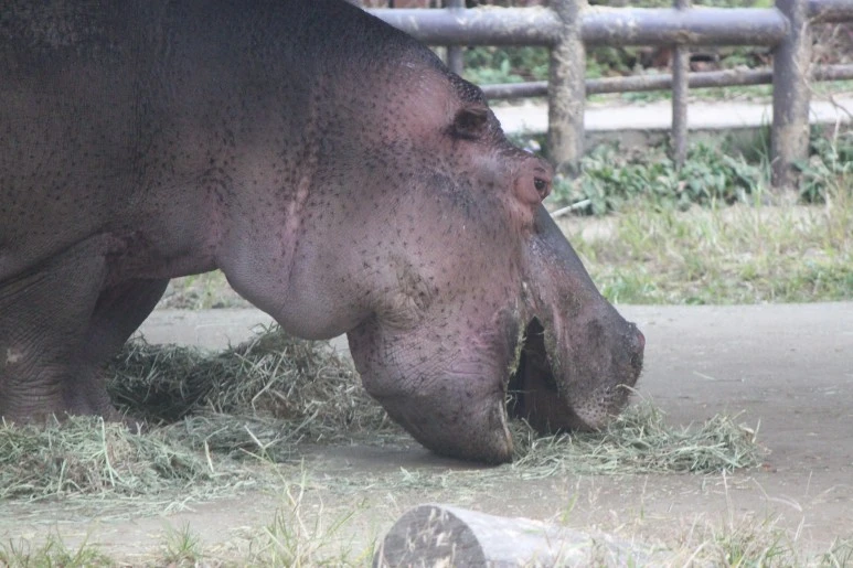 IMG_5315.JPG?type=w773