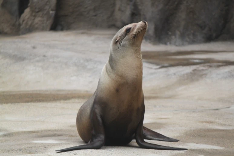 IMG_5185.JPG?type=w773