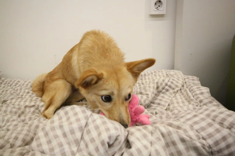 IMG_5611.JPG?type=w773