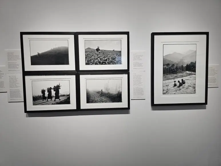 20251003_111118.jpg?type=w773