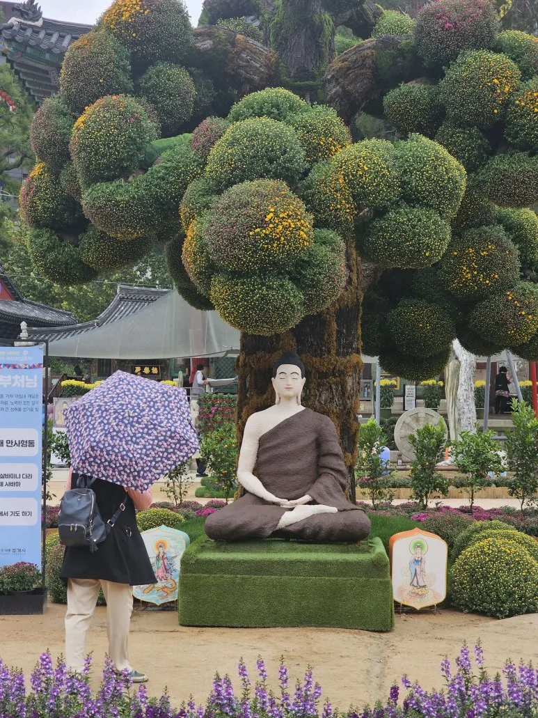 20251003_133342.jpg?type=w773