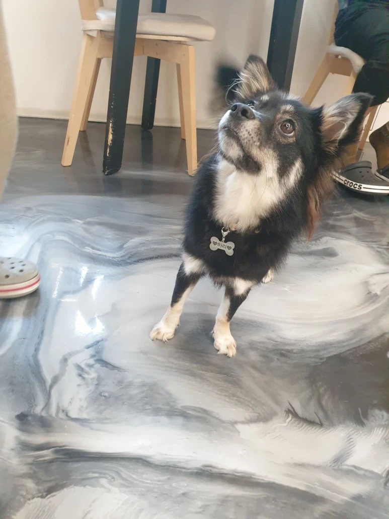 20221024_144856.jpg?type=w773