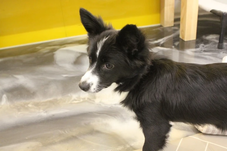 IMG_5403.JPG?type=w773