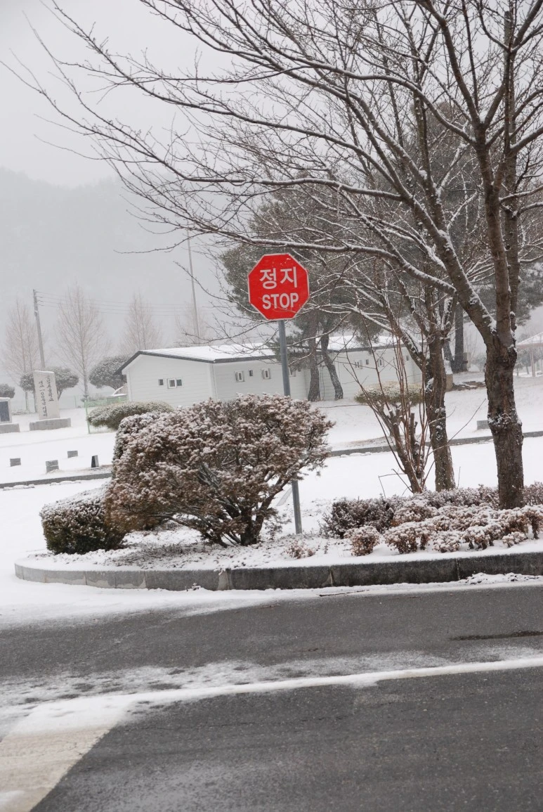 STOP_%ED%91%9C%EC%A7%80%ED%8C%90%EC%9D%98_%EC%97%89%EB%9A%B1%ED%95%9C_%EB%AA%A8%EC%8A%B5-DSC_1261.JPG?type=w773