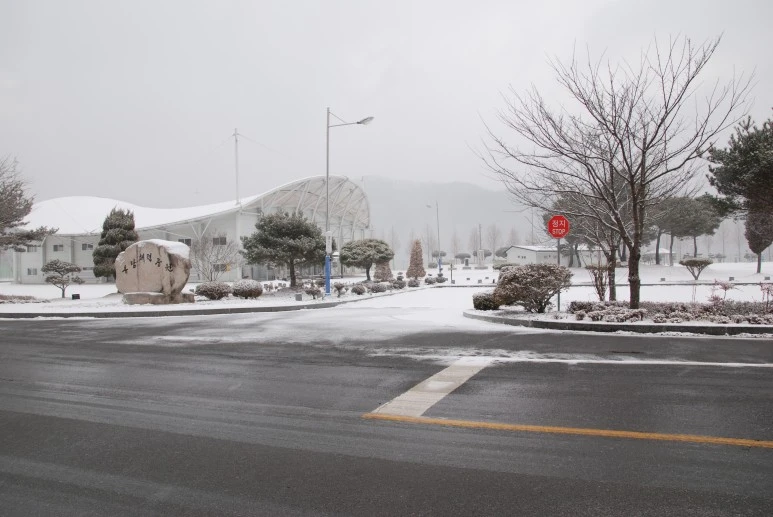 STOP_%ED%91%9C%EC%A7%80%ED%8C%90%EC%9D%98_%EC%97%89%EB%9A%B1%ED%95%9C_%EB%AA%A8%EC%8A%B5-DSC_1260.JPG?type=w773